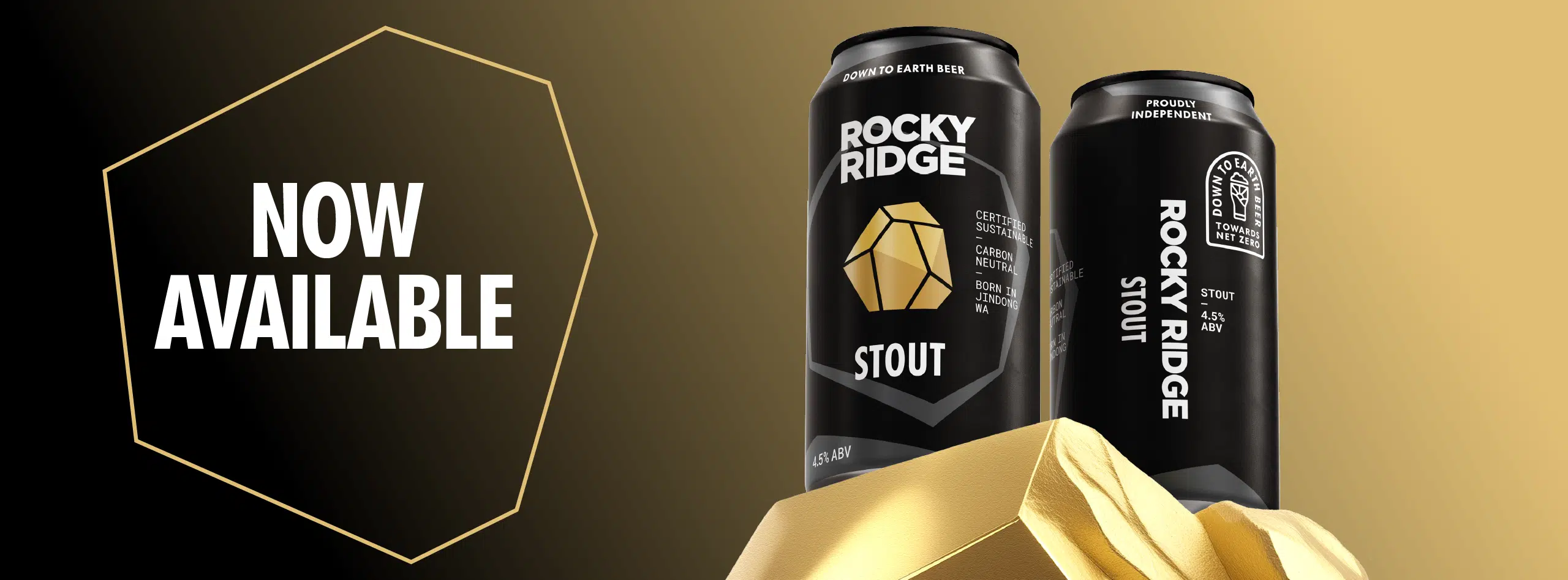 Stout (16-pack) - Image 4