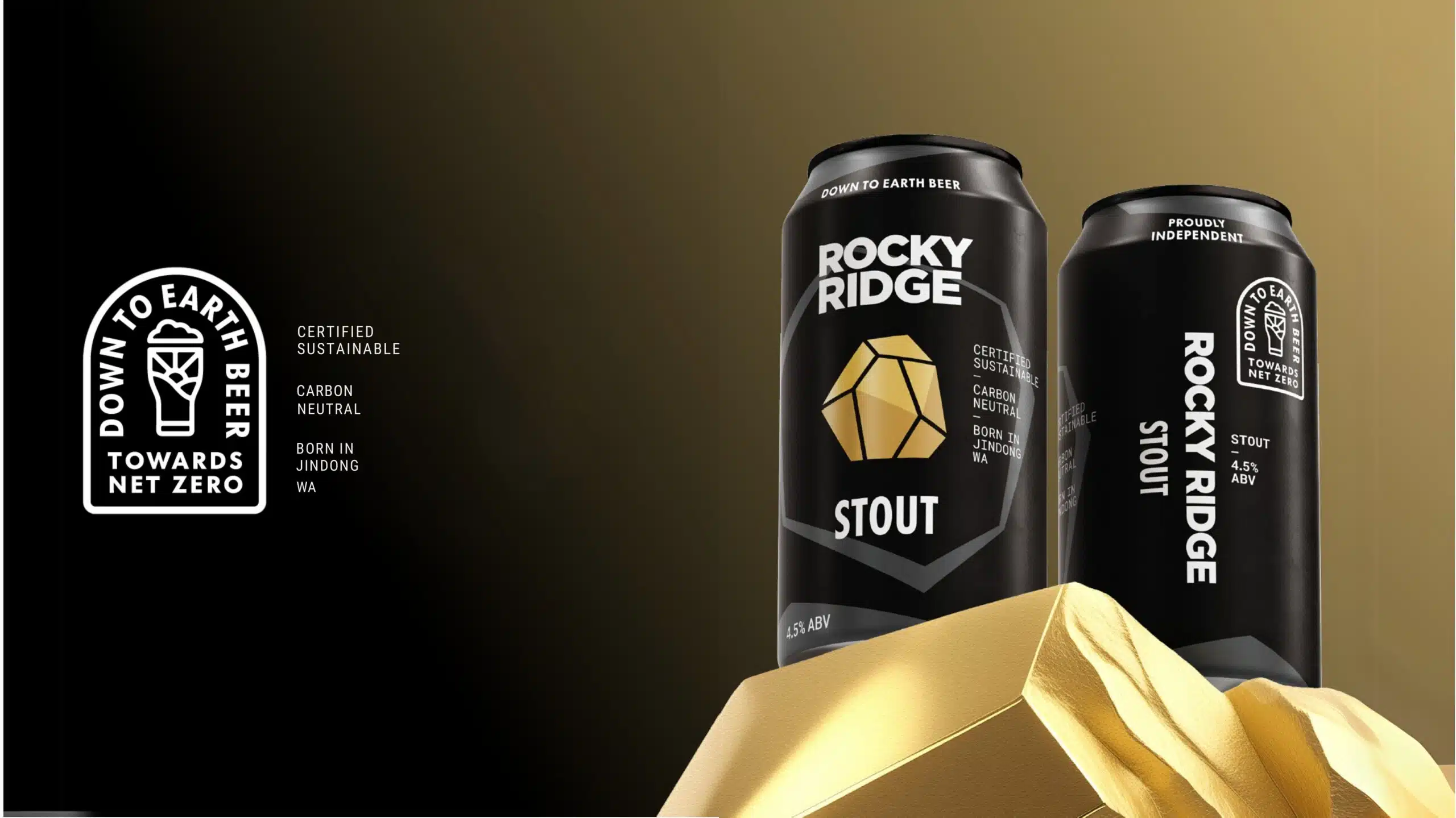 Stout (16-pack) - Image 5